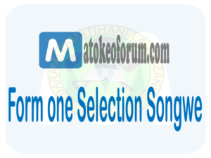 Form one selection Songwe
